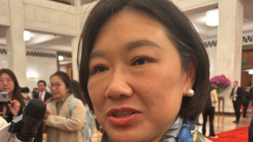 Conselheira chinesa alerta para casamentos forçados de mulheres com deficiência mental