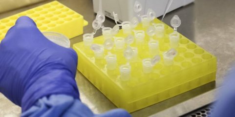 Nova lei de ensaios clínicos garante medicamentos gratuitos e reforça proteção dos participantes