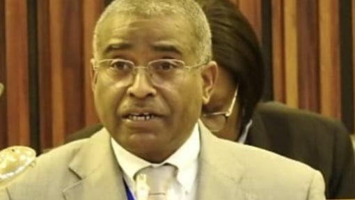 Doenças crónicas e natalidade desafiam sistema de saúde moçambicano - ministro