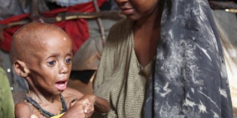 Mais de seis milhões de crianças sofrem de desnutrição aguda na Nigéria - Cruz Vermelha