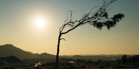 Horas de calor que limita qualidade de vida duplicaram desde meados do século XX – estudo