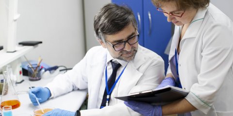 Investigadores identificam bactéria no intestino humano que pode melhorar a força muscular