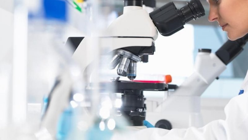 Instituto Ricardo Jorge e ULS Santa Maria firmam acordo para projetos conjuntos de investigação