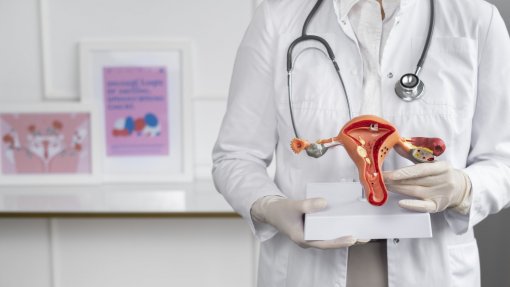 BE questiona Governo sobre atraso na publicação de normas clínicas para endometriose e adenomiose