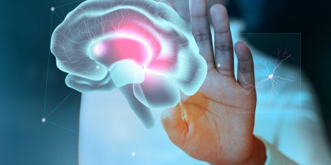 Estudo revela sistema do cérebro que combina movimentos de forma sistemática