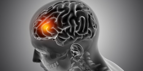 Cerca de 700 pessoas medicadas para conter surto de meningite no Reino Unido