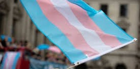 Colégio de Sexologia da Ordem dos Médicos critica propostas sobre mudança de género