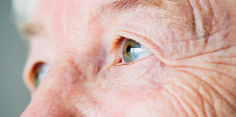 Municípo de Penamacor apoiou 193 cirurgias às cataratas em oito anos