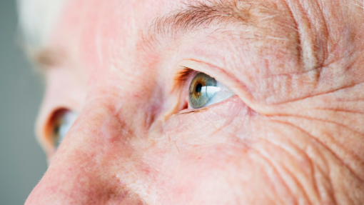 Municípo de Penamacor apoiou 193 cirurgias às cataratas em oito anos