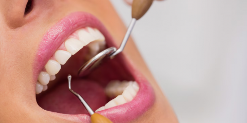 Ministra destaca alargamento do cheque-dentista e rede nacional de prestadores