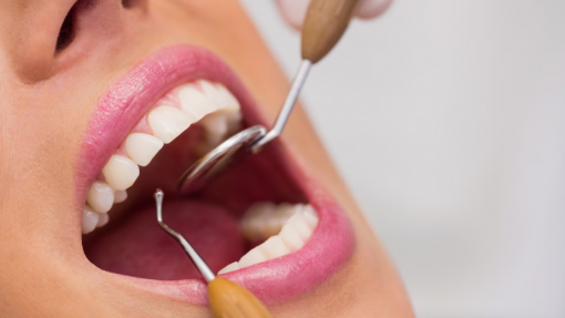 Ministra destaca alargamento do cheque-dentista e rede nacional de prestadores