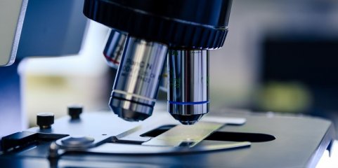 Luso-canadiano lidera avanço global na vacina contra bactéria que causa diarreia