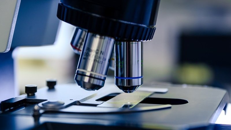 Luso-canadiano lidera avanço global na vacina contra bactéria que causa diarreia