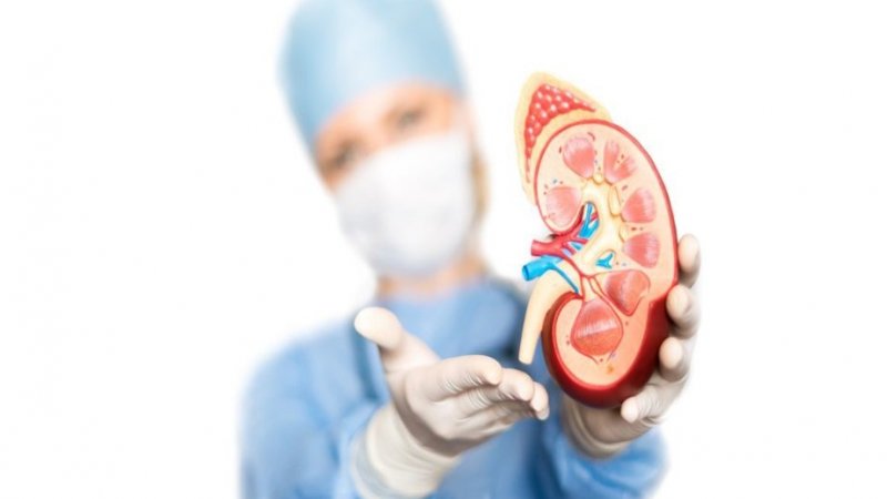 Cabo Verde realizou primeiro transplante renal, em parceria com Portugal