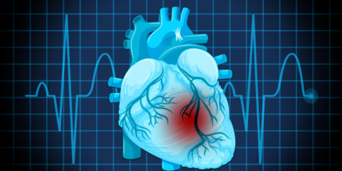 Unidade de Pacing da Cova da Beira fez 1.500 procedimentos em 10 anos