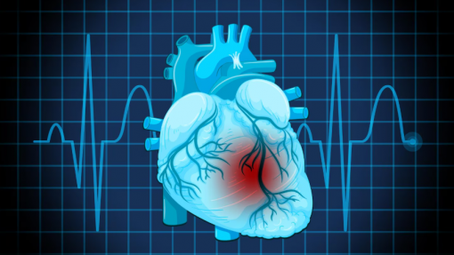 Unidade de Pacing da Cova da Beira fez 1.500 procedimentos em 10 anos