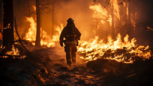 SNS terá de ativar planos anuais para ondas de calor, frio e incêndios