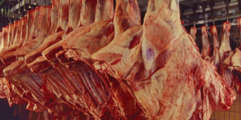 ASAE desmantela dois matadouros ilegais e apreende mais de duas toneladas de carne