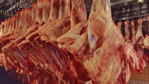 ASAE desmantela dois matadouros ilegais e apreende mais de duas toneladas de carne