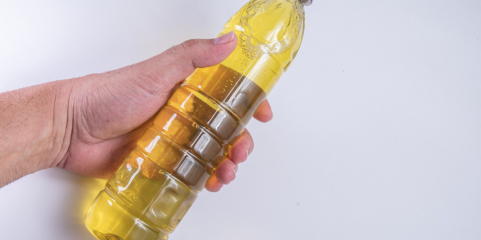 Ambientalistas pedem recolha de óleos alimentares para substituir combustíveis