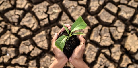 Preocupação com alterações climáticas pode incentivar comportamentos mais sustentáveis