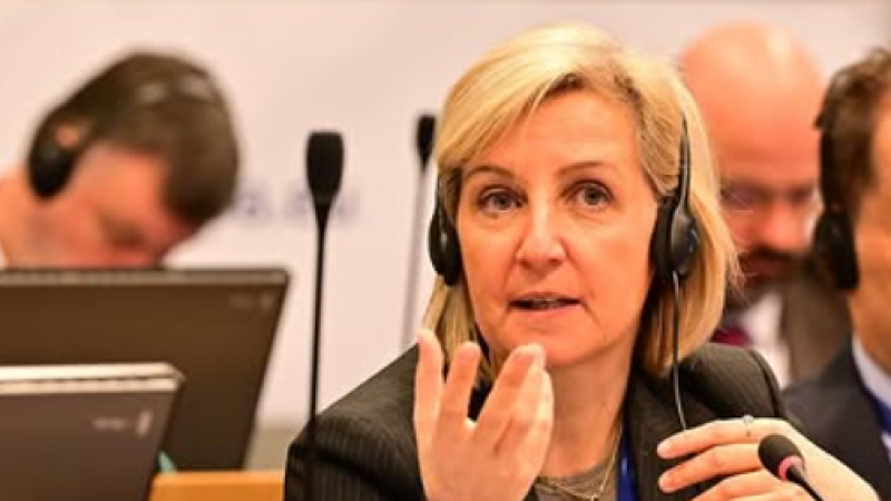 Ex-ministra diz que regras de gestão do INEM são desadequadas para emergência médica