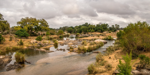 Entidade reguladora cabo-verdiana sugere medidas após novos casos de doença parasitária