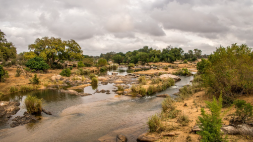 Entidade reguladora cabo-verdiana sugere medidas após novos casos de doença parasitária