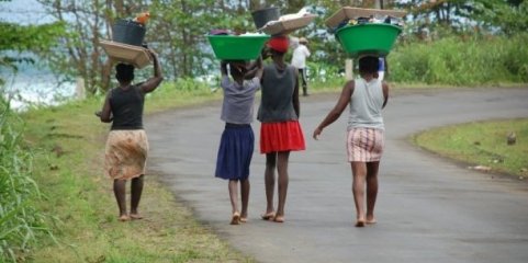 PR são-tomense quer aposta na formação e investigação para garantir segurança alimentar