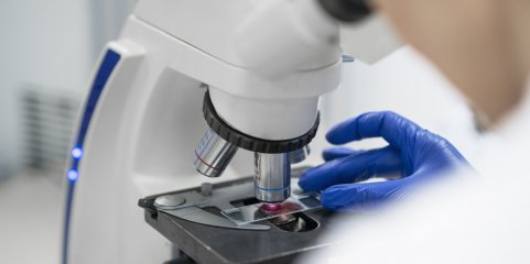 Universidade de Aveiro cria hidrogéis biológicos para medicina regenerativa