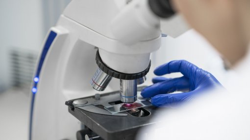 Universidade de Aveiro cria hidrogéis biológicos para medicina regenerativa