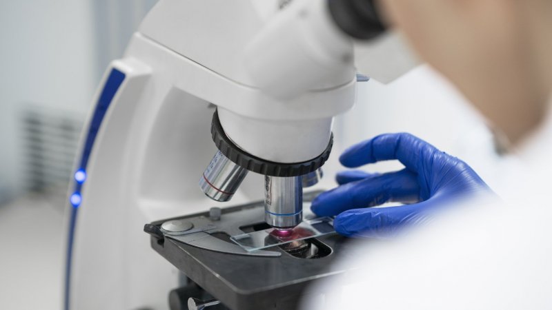 Universidade de Aveiro cria hidrogéis biológicos para medicina regenerativa