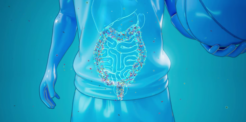 Microbiota intestinal pode revelar risco de desenvolver doença de Parkinson - estudo