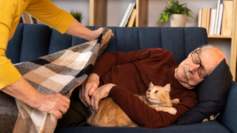 Mortalidade em excesso no inverno foi a mais alta em 10 anos, excluindo a pandemia