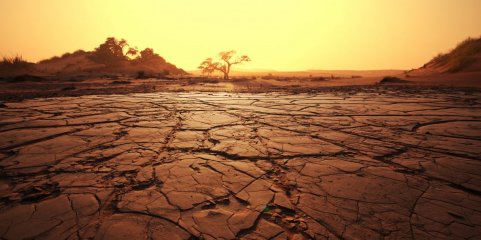 Calor extremo agravou mortalidade em Portugal, sobretudo no interior
