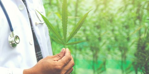 EUA reclassificam canábis medicinal e aliviam restrições federais
