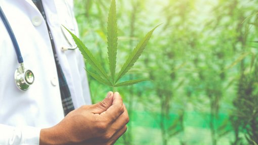 EUA reclassificam canábis medicinal e aliviam restrições federais