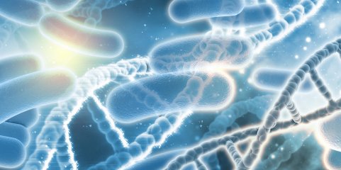 Parlamento coincide na importância da terapia fágica mas alguns partidos pedem prudência
