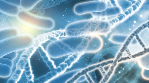 Parlamento coincide na importância da terapia fágica mas alguns partidos pedem prudência