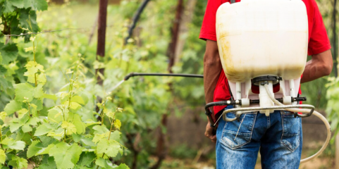 Toxicologista avisa sobre introdução de novos contaminantes tóxicos no ecossistema