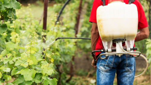 Toxicologista avisa sobre introdução de novos contaminantes tóxicos no ecossistema