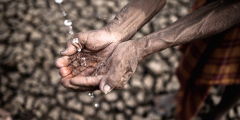 Malária matou 16 pessoas na província moçambicana de Sofala este ano