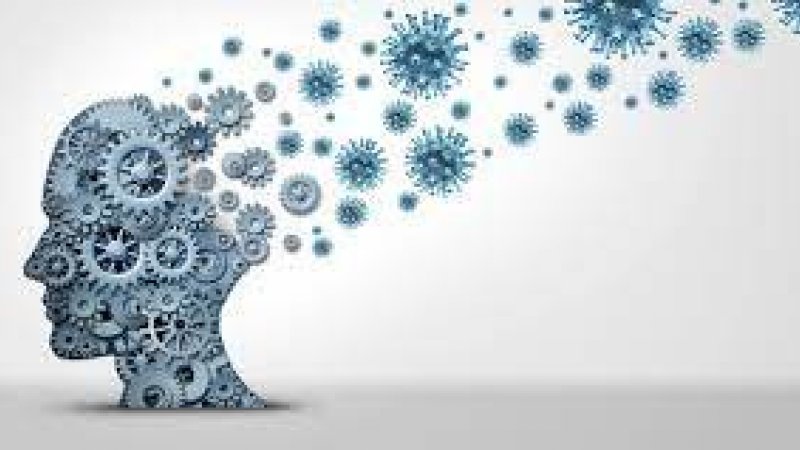 Consultas de psicologia da Universidade de Lisboa registam ligeiro aumento depois da pandemia