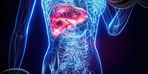 OMS avisa que hepatite viral ainda é um "desafio global" apesar dos progressos