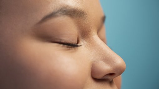 Cientistas criam o primeiro “mapa do olfato”