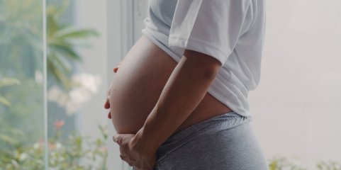 Direção do SNS e enfermeiros em desacordo sobre projeto de gravidez de baixo risco