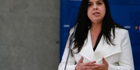 PAN quer igualdade salarial entre homens e mulheres e luto por animal de companhia