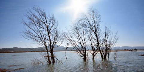 Médio Tejo debate resposta do SNS a fenómenos climáticos extremos