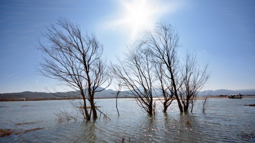 Médio Tejo debate resposta do SNS a fenómenos climáticos extremos