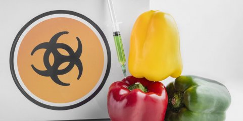 Alimentos consumidos na UE com resíduos de pesticida com baixo risco para a saúde